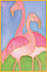 Flamingo Design Card